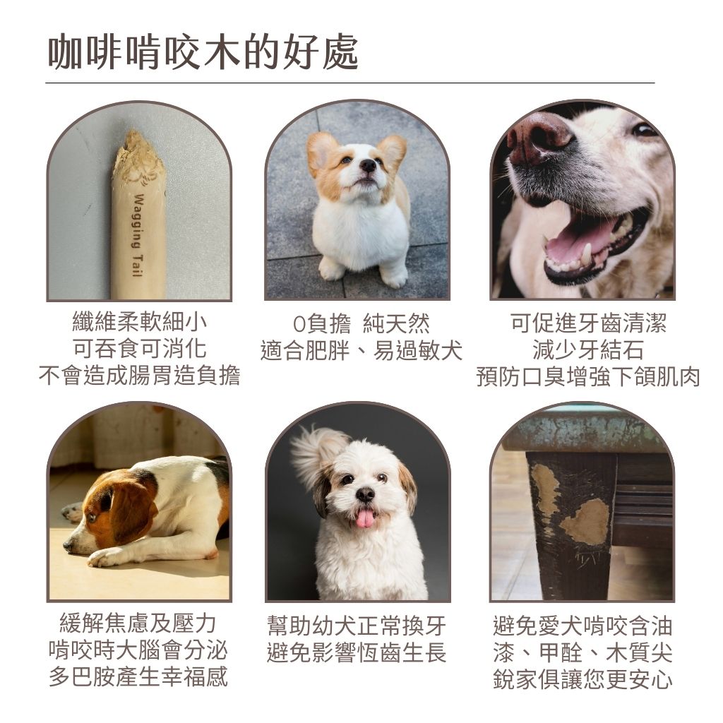 搖尾巴毛孩小舖|咖啡木|啃咬木|咬咬木|家俱救星|清潔牙垢|竉物玩具|舒壓|零負擔|可消化可吸收|零咖啡因|無農藥|無四大重金屬|多項檢驗合格