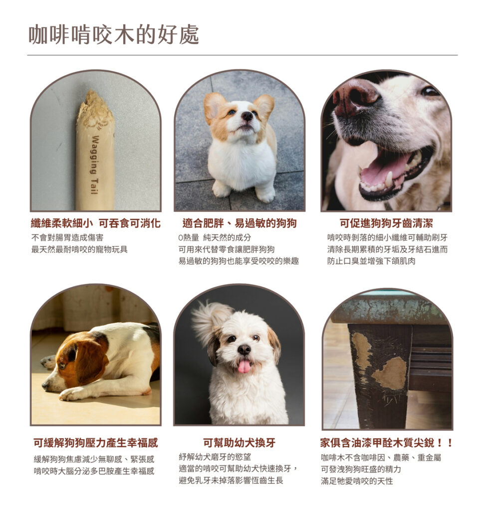搖尾巴毛孩小舖|咖啡木|啃咬木|咬咬木|家俱救星|清潔牙垢|竉物玩具|舒壓|零負擔|可消化可吸收|零咖啡因|無農藥|無四大重金屬|多項檢驗合格
